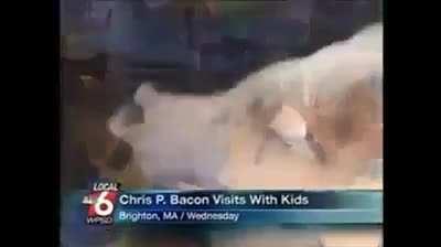 Reporter loses it over crispy bacon