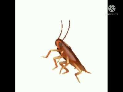 I don't know why I made this