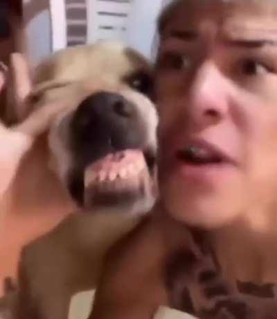 The dawg and the dog