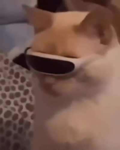 Damn why am I not so cool like him?