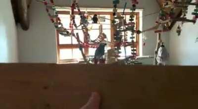 I guess he doesn't want a new one