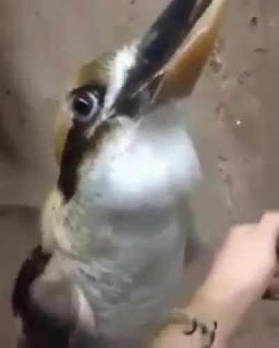 Воскресное настроение.