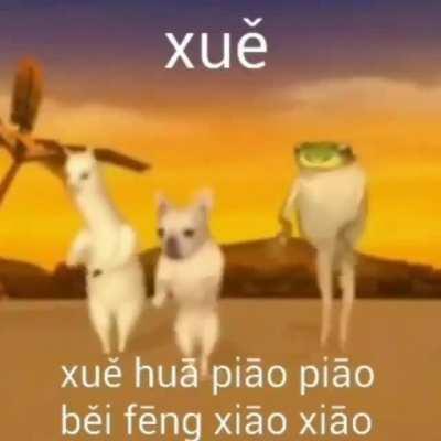 Esse vídeo me passa uma mensagem tão linda ✊😍