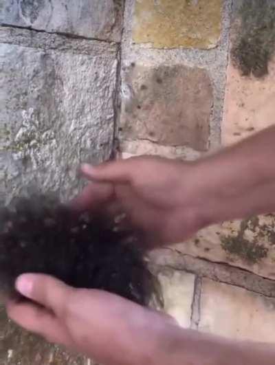 Thanks, I hate spiderverse