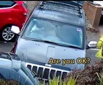 WCGW with having the dog drive?