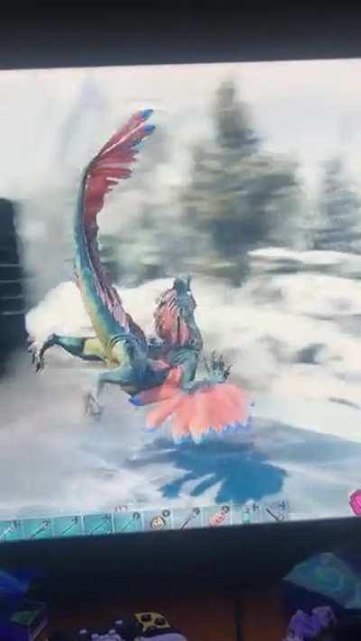 I think my rock drakes broken