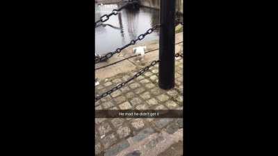 Fixed the last post (as per suggestion from Bowler1097)