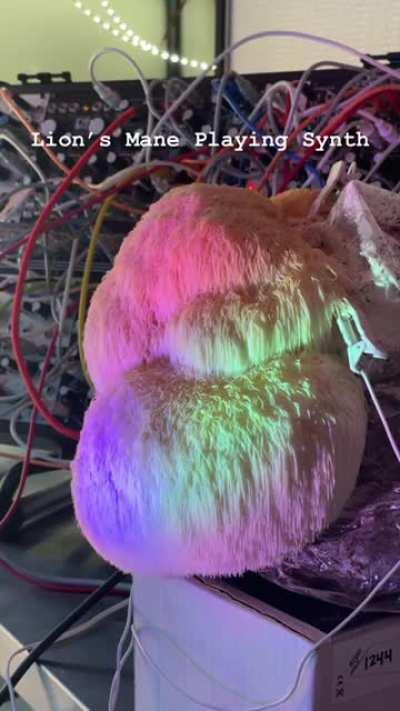 This dude is pretty damn cool for doing this. Absolutely love his videos, he goes by @mycolyco