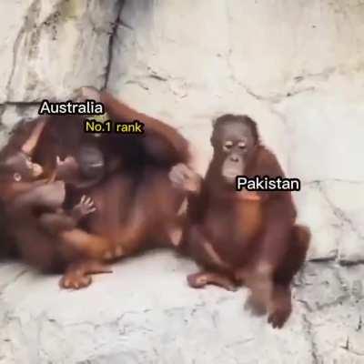 Don't think just enjoy