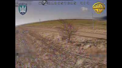 Ukrainian FPV kamikaze drone strikes on Russian infantry near Pokrovsk. February 2025