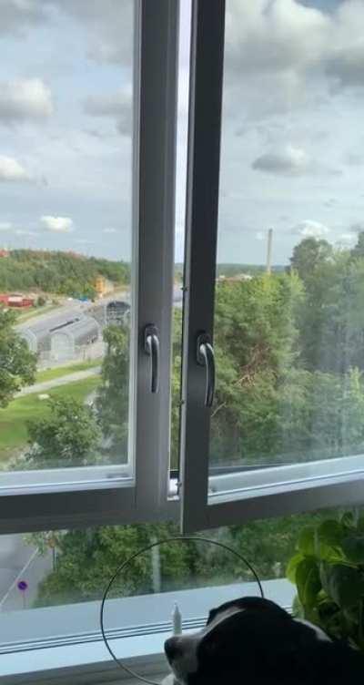 Hesa Fredrik låter inte tillräckligt mycket! *högt ljud*