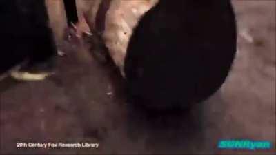 THE RETOURN TO MONKE