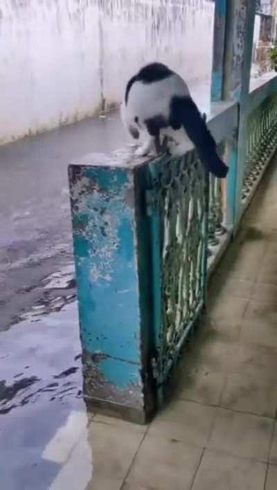 For Jeannie, pls make it one of the top post