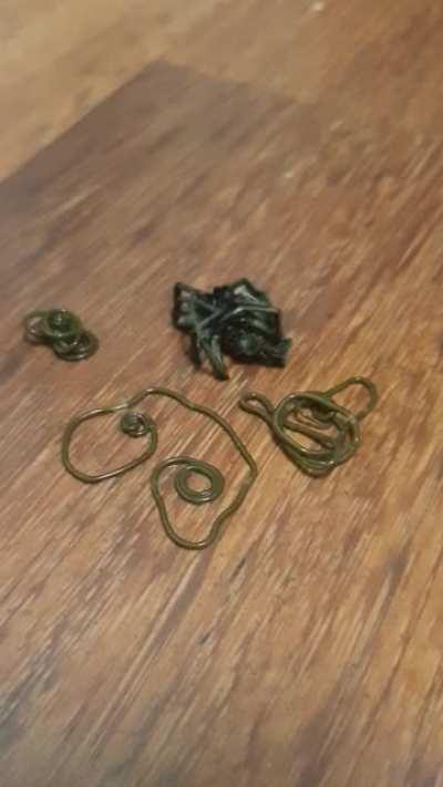 Killed One Spider, Came Back 5 Minutes Later And Found This.