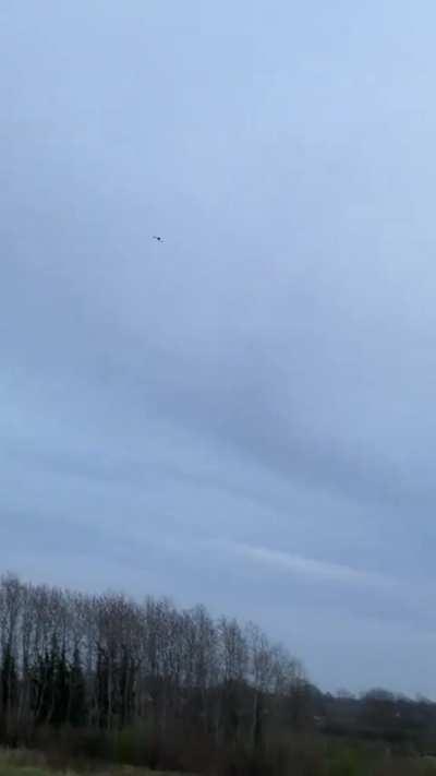 Average Boomerang made in Dresden