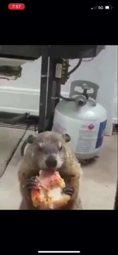 What Really Happens on Groundhog Day