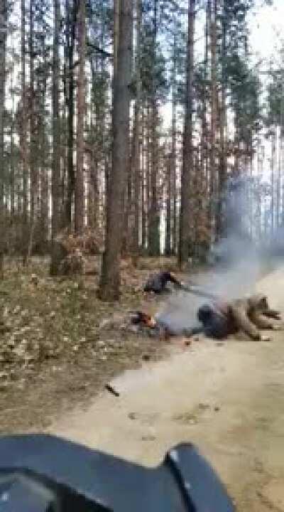 Trying to break a log of wood goes bad