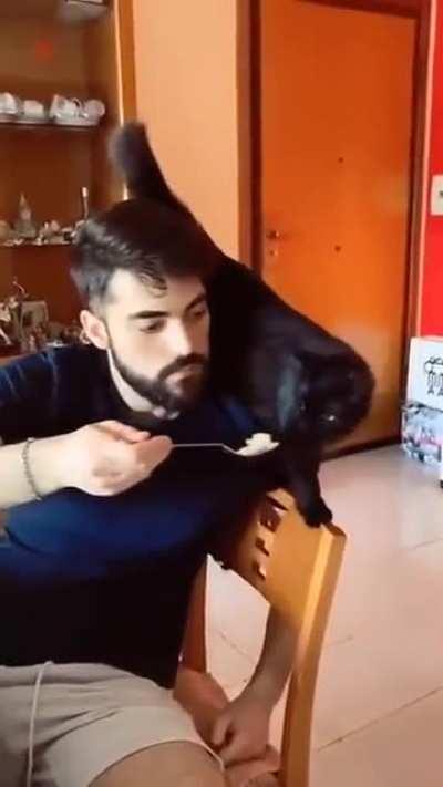 Hooman, you deserve it.