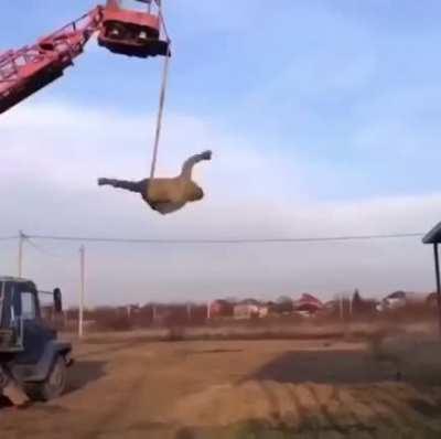 Russian extremist smoke crack and drive cars