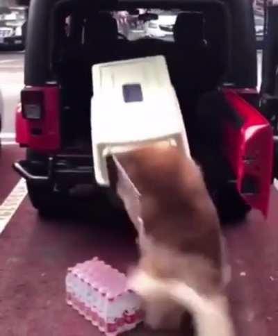 Well it was a good try