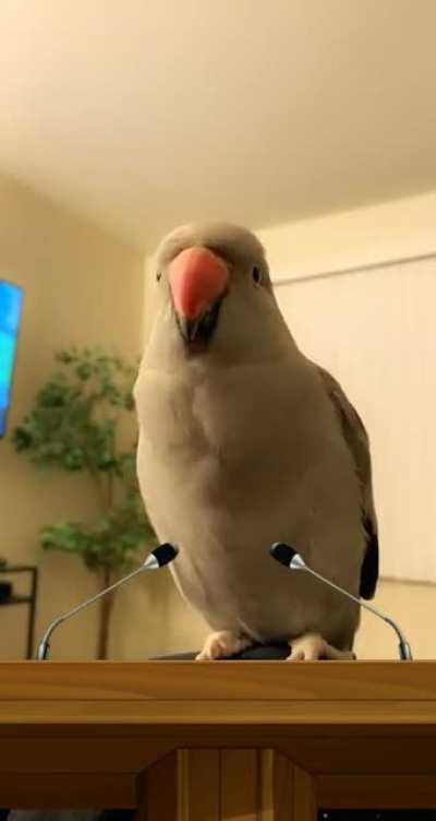 a very important speech: