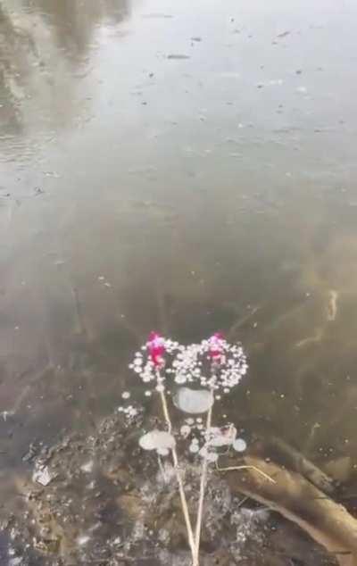 Fireworks underwater (credit:doseofdailyinternet)