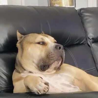 Don't interrupt his shows.