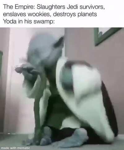 Yoda in his swamp is like