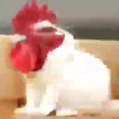 Gassy incredible poo