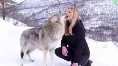 Thanks, I hate Wolf greetings