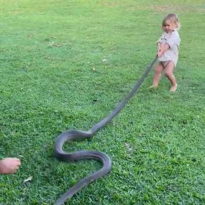 Australian preschool training