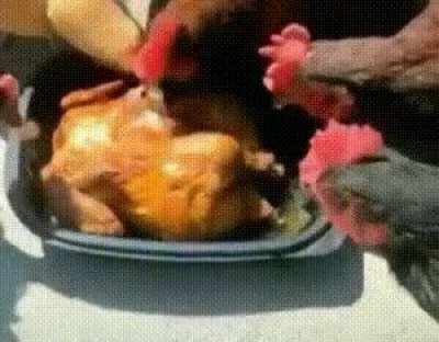 Suddenly you realize your own kind is delicious