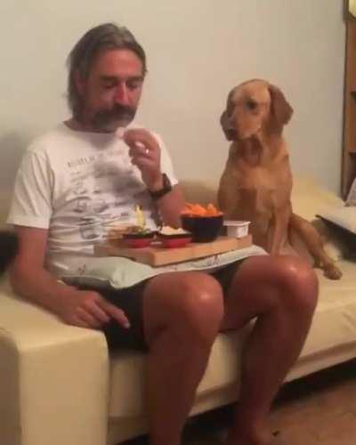 Told you I am not at all interested in all that food!