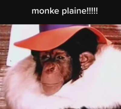 Ooh aah monke plainee
