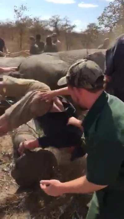 Told y'all not to listen to Billy