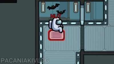 Me and my friend did it again, but with coconut song