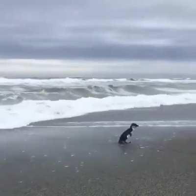 Wait...am i... free?