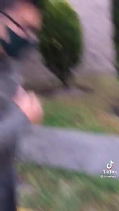 Coca de piña gratis 🤑