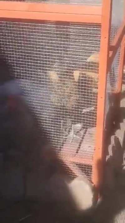 I believe in you little buddy