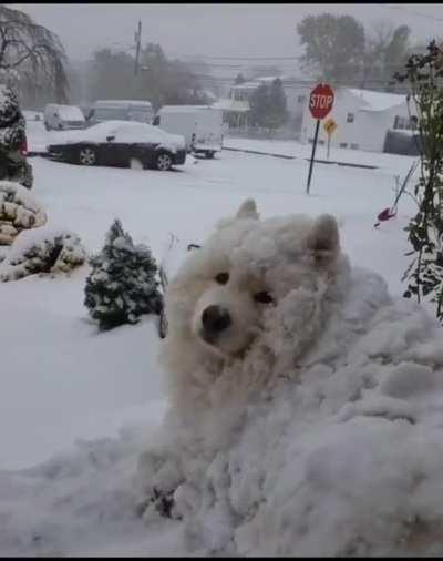This Unit is not bothered by Snow
