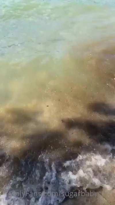 VIP User post, DM for folders