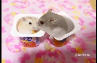 Brutal display of Japanese martial arts