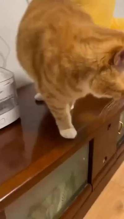 You burp after drinking water