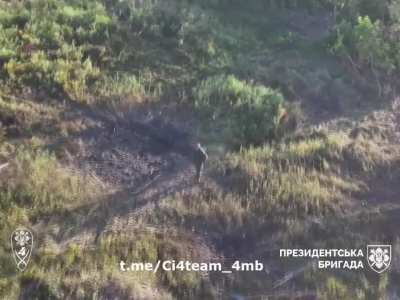 On the Lyman front, a Russian soldier surrendered to a drone operator from the 4th Mechanized Battalion of the Presidential Brigade. Published on August 19, 2024