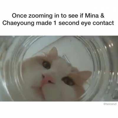 What’s life without some Michaeng