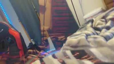 My most subjectively accurate salvia video yet