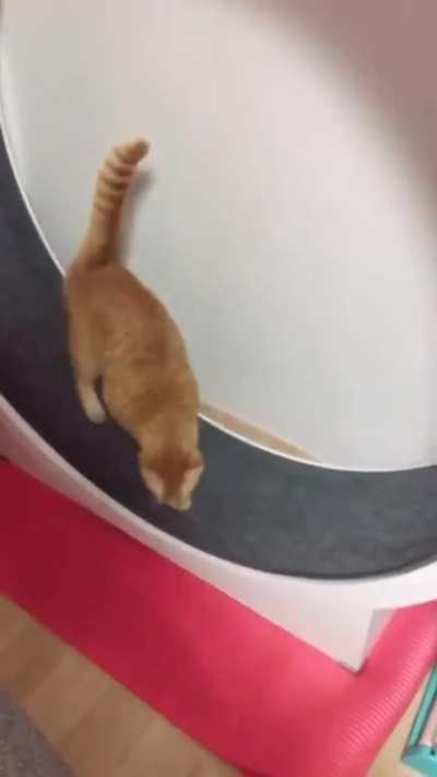 Все! Я устал!