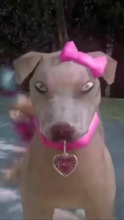 Least child hungry velvet hippo