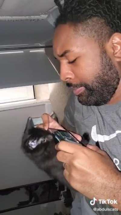 Just cats in general but here's a fabulous example