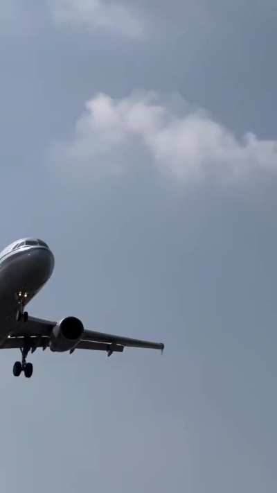 Air China A320 (B-9925) encountered a bird strike, CA4539 (CTU-XMN) on 5 Dec, not AI-generated